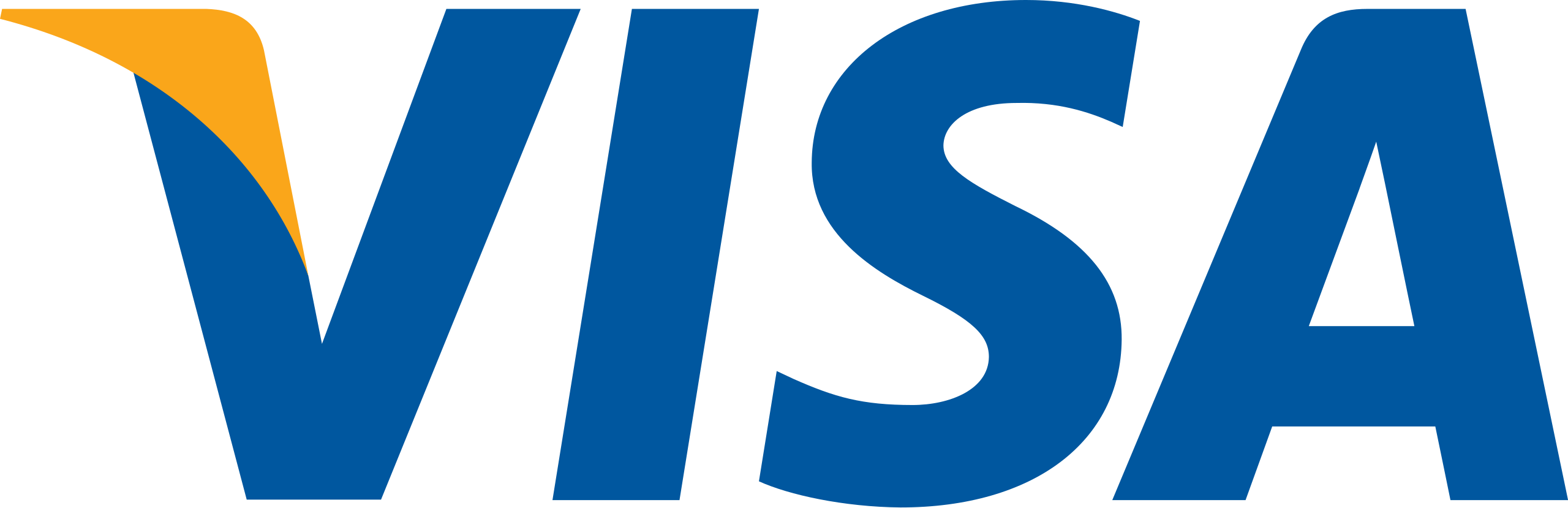 Visa Partner Logo